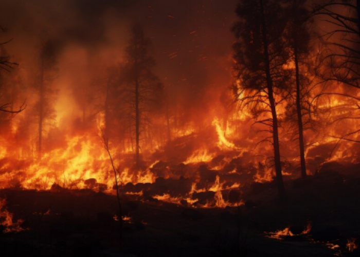 Langit Sumatera Kian Merah: Tindakan di Hari Konservasi Alam