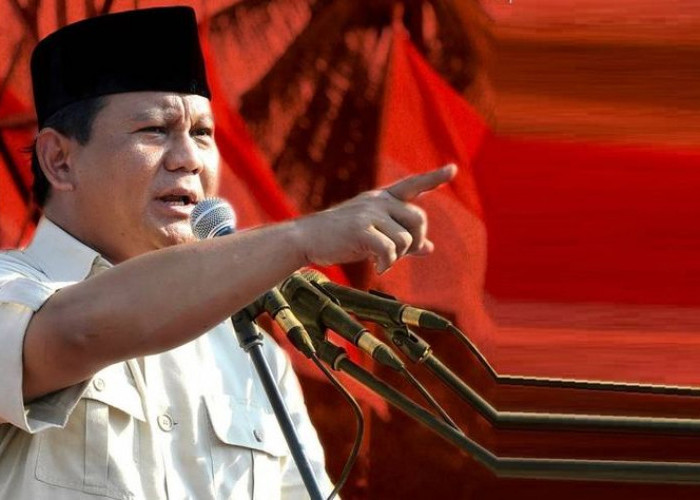 Sebut Kelapa Sawit sebagai Karunia, Prabowo Dorong Pemanfaatan Sawit untuk BBM