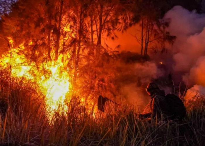 Karhutla Kalimantan Sudah Lintas Negara, Kenapa Baru Ramai Diberitakan Sekarang?