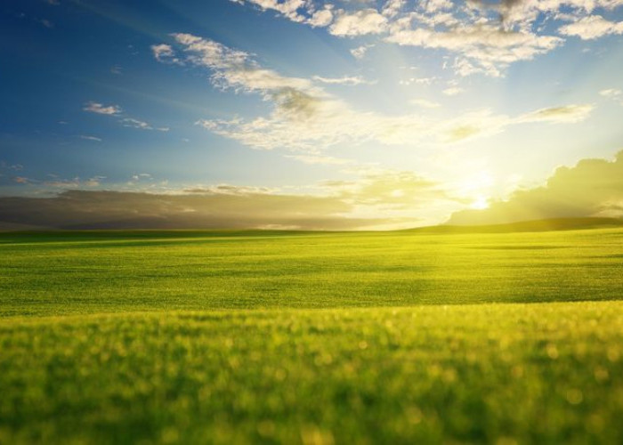 Musuh dalam Selimut: Mengapa Cahaya Matahari Bisa Merusak DNA Manusia?