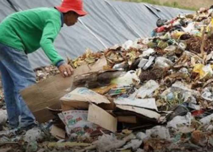 Pemerintah Siapkan Perubahan Nama Pemulung Menjadi Pemilah Sampah