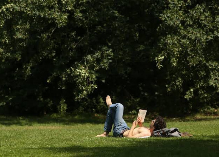 Bahaya Male's Performative Phenomenon, Kenali Gejala dan Dampaknya yang Mulai Ada di Bandar Lampung
