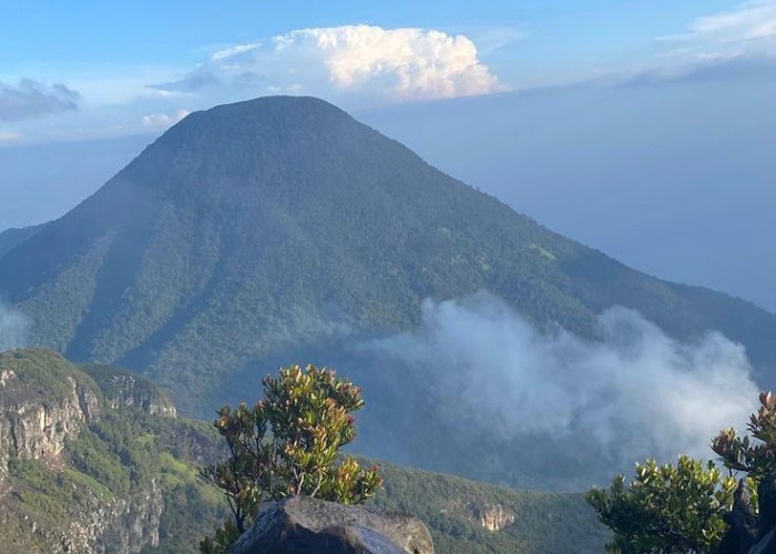 Rekomendasi Merek Perlengkapan Naik Gunung Lokal: Kualitas Lokal, Rasa Internasional  