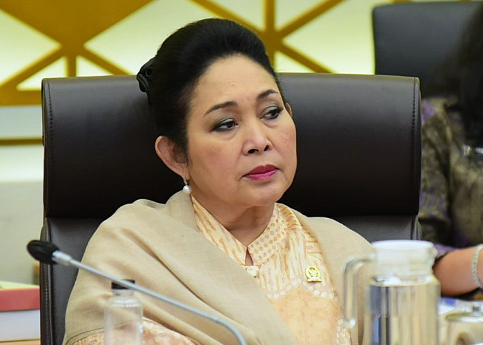 Geram soal Banjir Sumatera, Raja Juli Janji Tertibkan Perizinan dan Usut Kayu Gelondongan