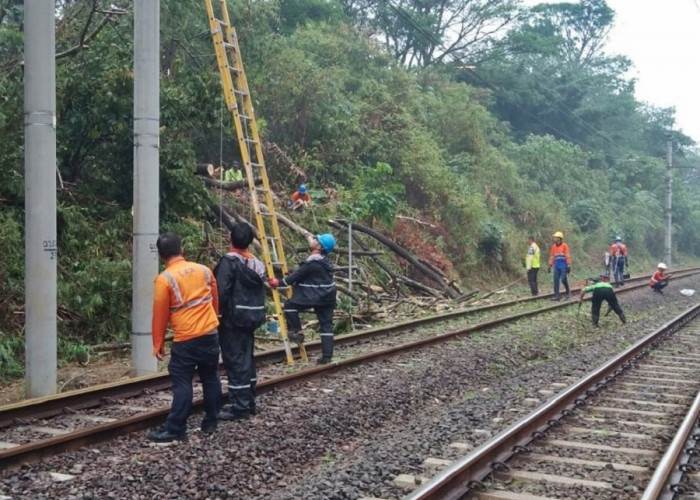 9 Perjalanan KRL Bogor-Jakarta Terganggu Imbas Pohon Tumbang di Stasiun