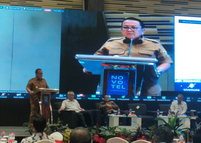 Gubernur Arinal Jadikan Lobster Komoditas Ekspor Unggulan Provinsi Lampung, Mampukah?   