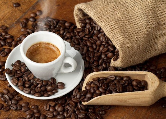 Cerita dari Coffe Shop yang Kini Jadi Ruang Produktif Baru