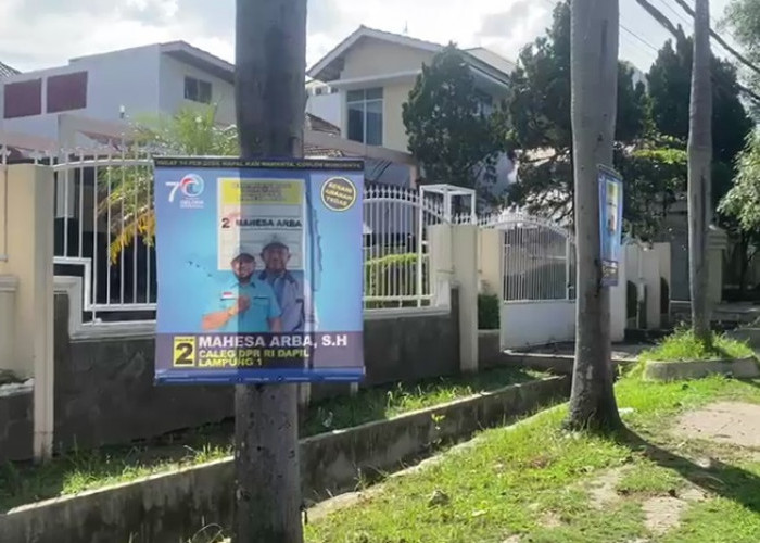 Jaga Keindahan Kota Bandar Lampung, Satpol PP Ingatkan Caleg Tertibkan APK di Pohon