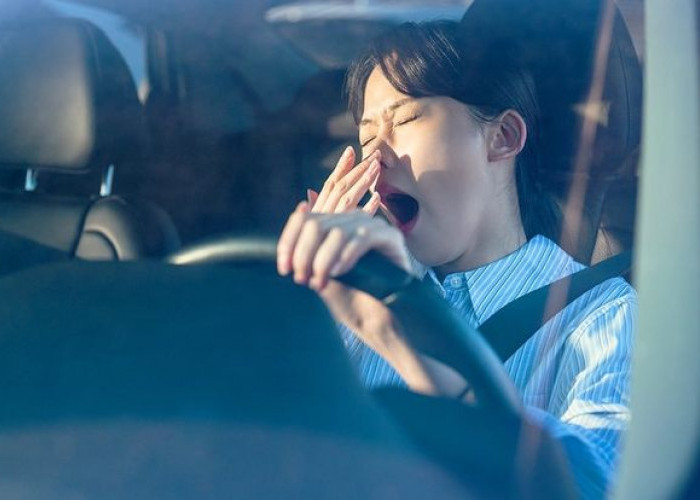 Microsleep Bisa Berakibat Fatal, Kenali Penyebab dan Cara Mencegahnya