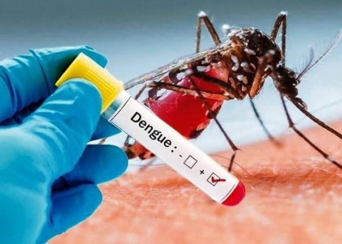 Waspada Peningkatan Kasus DBD di Musim Pancaroba Langkah 3M Plus Jadi Kunci Pencegahan