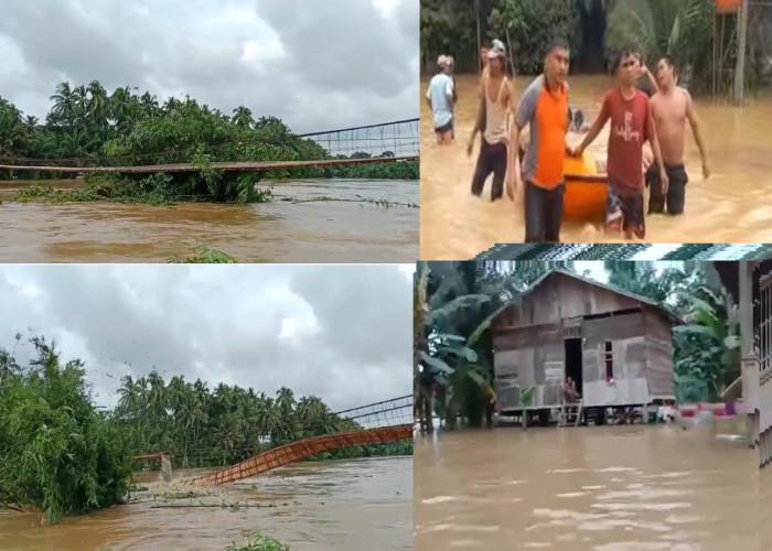 Ratusan Rumah Warga Sarolangun Terendam Banjir dan Jembatan Gantung Putus, Apa Penyebabnya ?