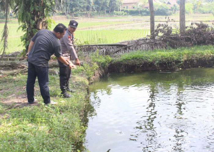 Diduga Terpeleset, Bocah 8 Tahun di Pringsewu Meninggal Tenggelam di Kolam Ikan