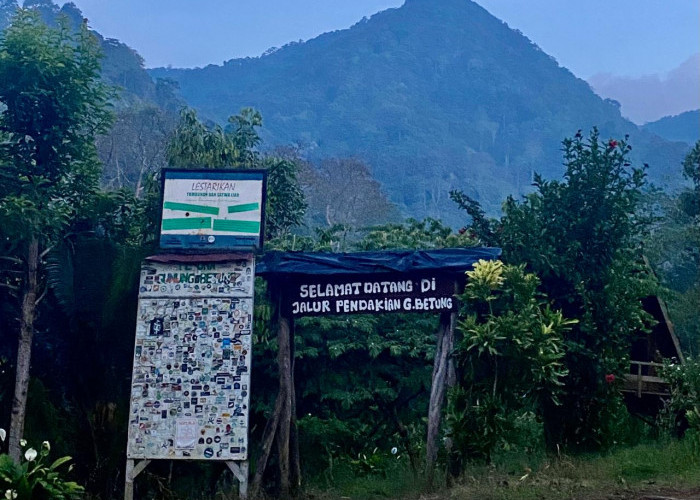 Gunung Betung, Destinasi Wisata Pilihan Untuk Pendakian Ringan dan Wisata Alam