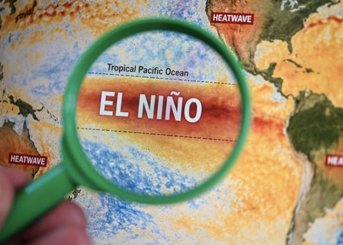 Pasifik Makin Panas, El Nino Ekstrem Mengancam Pola Cuaca Dunia
