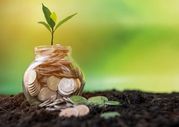 Green Economy Makin Ramai Dibahas, Apakah Benar Jadi Masa Depan Ekonomi Indonesia?