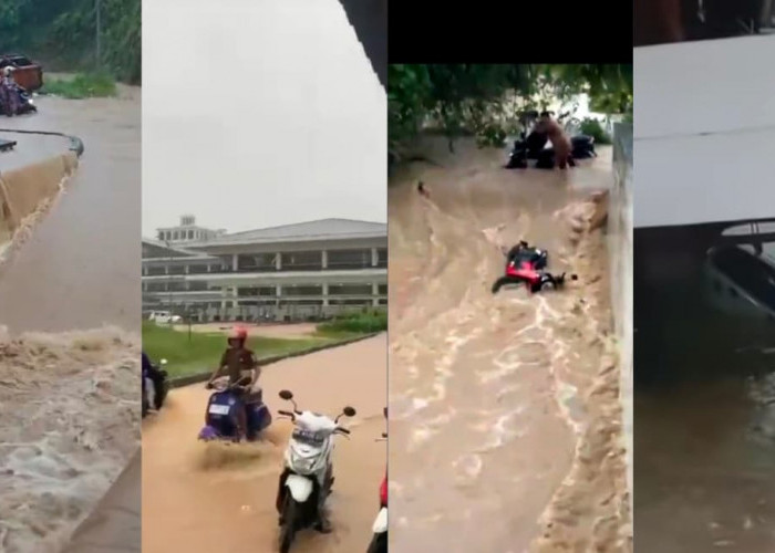 Kantor Pemkab Pesisir Barat Diterjang Banjir Bandang, Puluhan Kendaraan Terendam