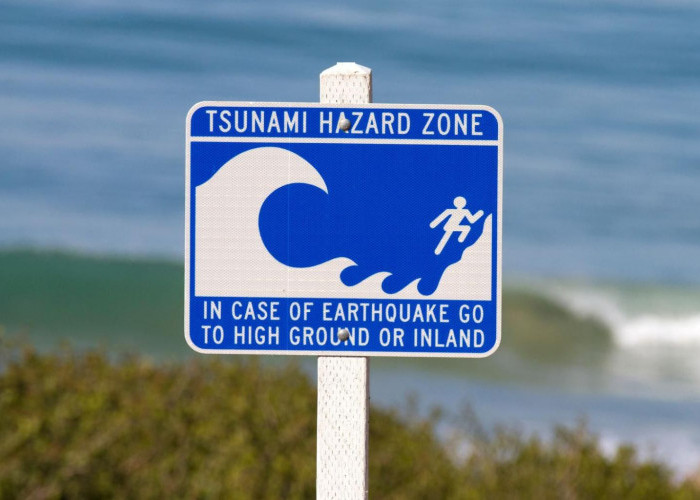 Gempa M 6,7 Guncang Iwate, Jepang Keluarkan Peringatan Tsunami