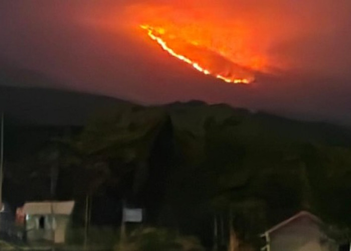 Kebakaran Hutan Rinjani Meluas, Jalur Torean dan Senaru Ditutup Sementara