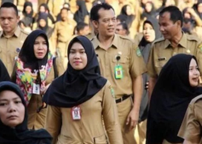 Apa Kabar Terbaru Guru Honorer di Indonesia Tahun 2025?