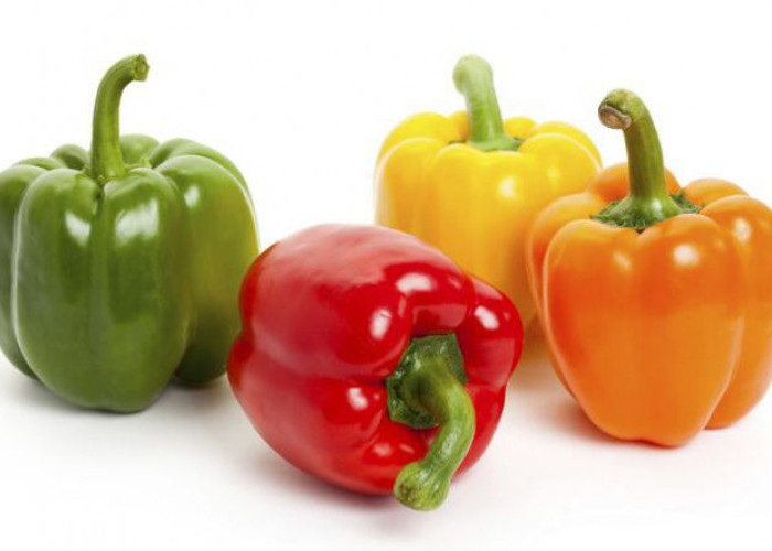 Rahasia Sehat di Balik Warna Cerah Paprika