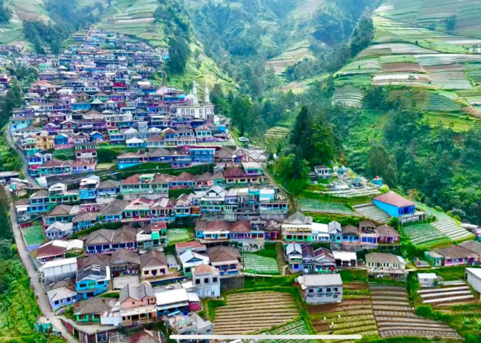 Menikmati Nepal van Java, Perkampungan Warna – warni Di Lereng Gunung Sumbing