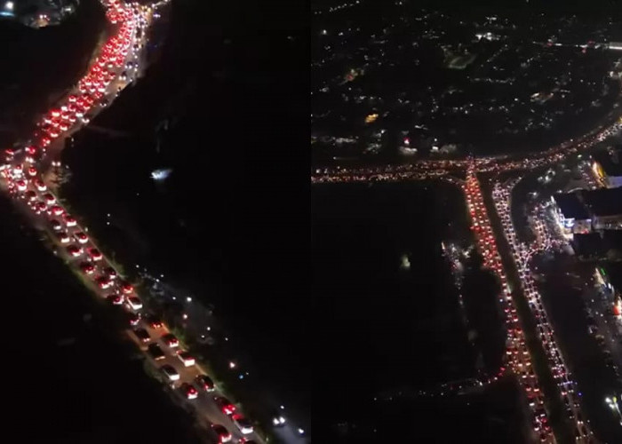  Batam-Bintan Dilanda Blackout dan Gangguan Internet, PLN Duga Dipicu Monyet Masuk Gardu