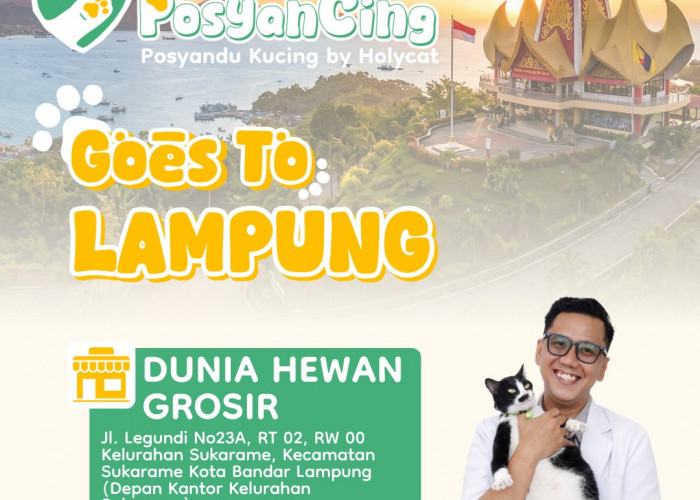 POSYANCING by Holycat Hadir di Lampung, Layanan Kesehatan Kucing Gratis Digelar 25 April