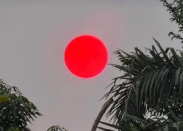 Fenomena Matahari Merah Menyala Meringis di Langit Palangka Raya Imbas Karhutla