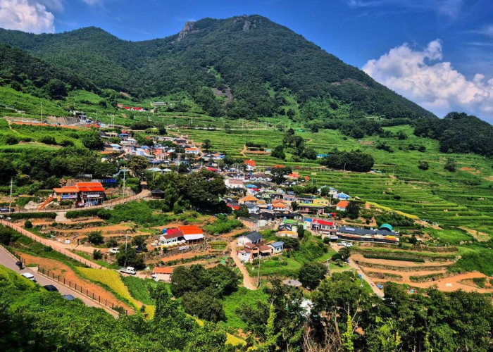 Desa Namchang di Korea Selatan Mendadak Ramai Berkat Lokasi Syuting Film Hope