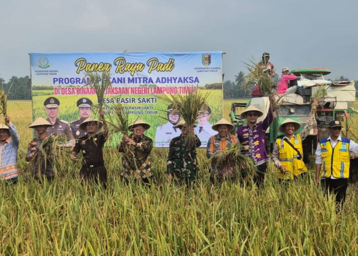Kejari Lampung Timur Panen Raya Bersama Petani Mitra Adhyaksa, Perkuat Komitmen Swasembada Pangan