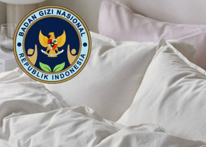 Pengadaan Perlengkapan Tidur BGN Senilai Miliaran Rupiah Jadi Sorotan Publik, Ini Klarifikasinya