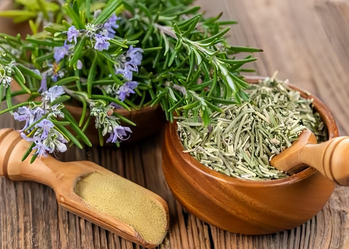 Bukan Sekadar Tanaman Dapur, Ini Manfaat Rosemary yang Jarang Diketahui