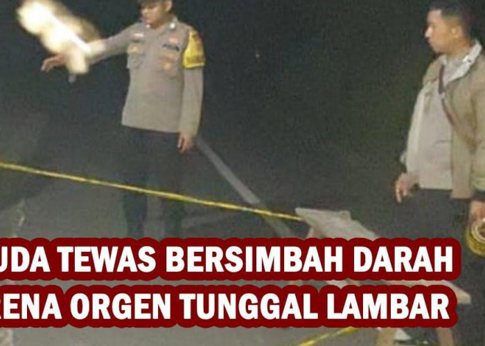 Pemuda Tewas Bersimbah Darah di Arena Orgen Tunggal Lambar