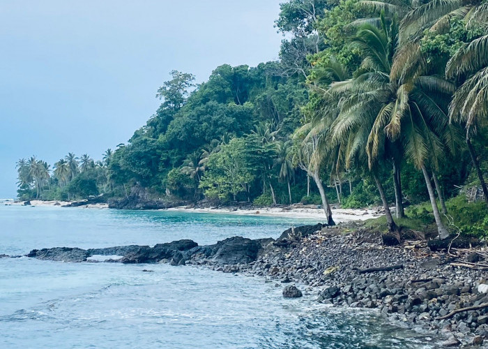 Lagi Cari Pantai dengan Jalur Menantang? Pantai Slimpuyang Bisa Jadi Jawabannya!