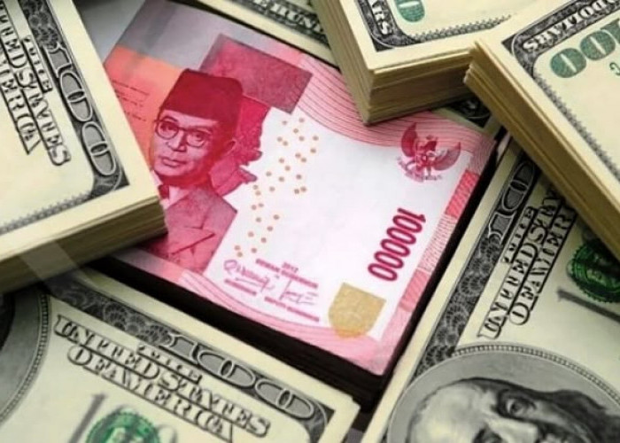 Cadangan Devisa Indonesia Naik Jadi US$146,5 Miliar pada Agustus 2026 