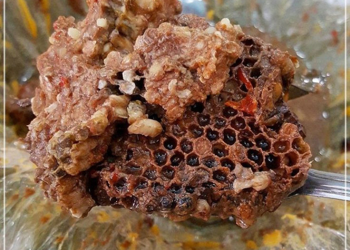 Botok Tawon, Kuliner Tradisional Jawa Timur yang Mengolah Sarang Tawon sebagai Hidangan