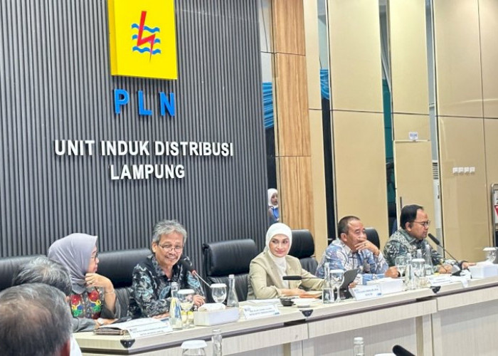 Itera Usulkan Revisi UU Ketenagalistrikan untuk Percepat Energi Bersih