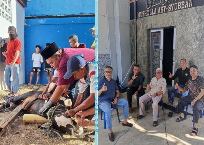 Semangat Berbagi Idul Adha, INKINDO Lampung Salurkan 300 Paket Daging Qurban untuk Masyarakat