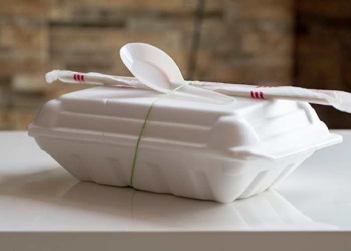 Bahaya Tersembunyi Styrofoam: Dampaknya pada Kesehatan dari Konsumsi Makanan