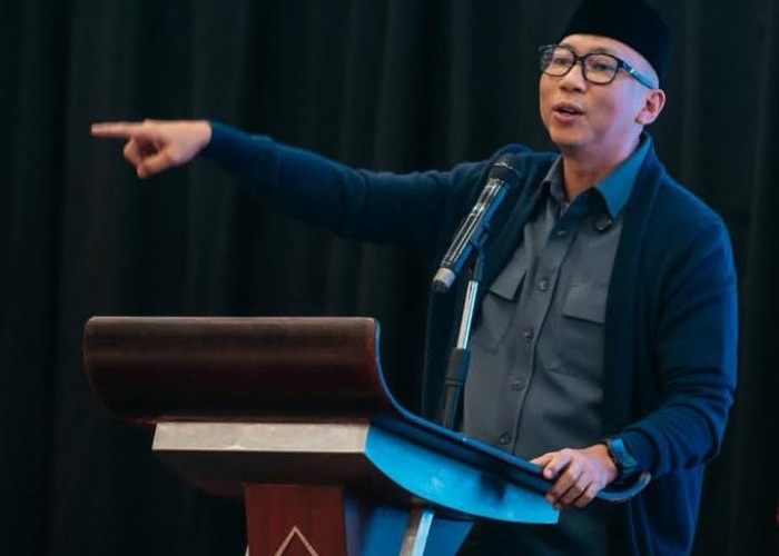 Gubernur Lampung Gerak Cepat Atasi Dugaan Illegal Logging di Pesbar, Pemerintah Siagakan Penanganan Menyeluruh