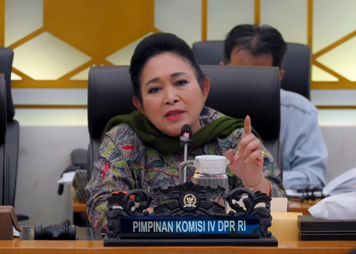 Titiek Soeharto Respons Isu Dugaan Suap Perizinan Hutan, Tekankan Pentingnya Penegakan Aturan