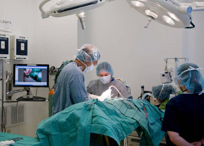 Mengapa Persalinan Lebih Dominan Operasi Caesar, Ini Alasan yang Perlu Diketahui!