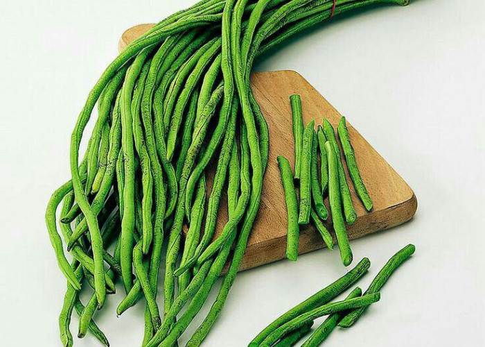 Kenali Khasiat Kacang Panjang untuk Hidup Lebih Sehat
