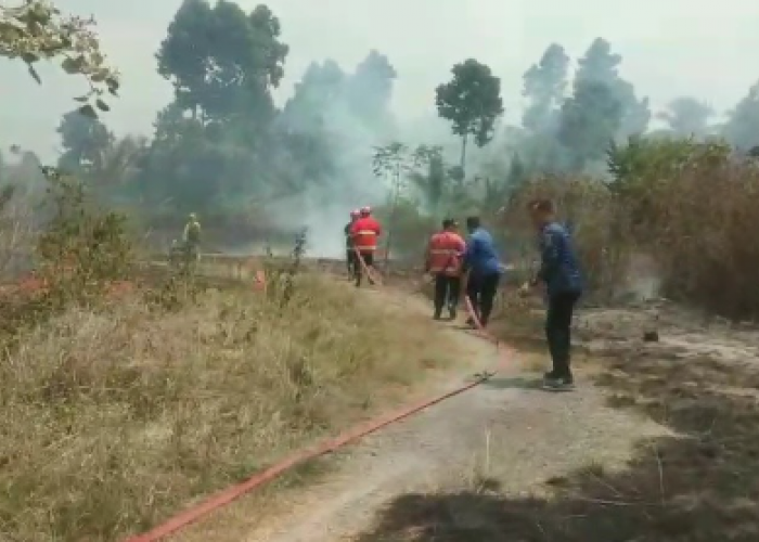 Dua Kebakaran Lahan Terjadi di Kalianda, Diduga Dipicu Pembakaran Sampah