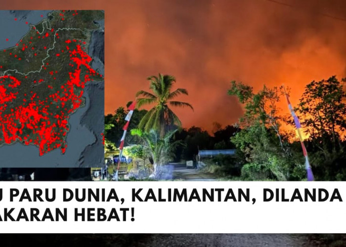 Kabut Asap dari Kalimantan Lintas Negara, Malaysia Ikut Terdampak