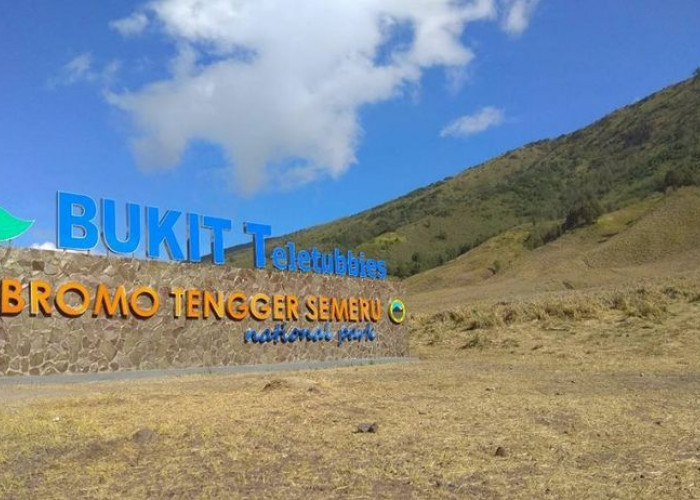 Pemerintah Siapkan Water Bombing untuk Bantu Padamkan Karhutla di Gunung Bromo