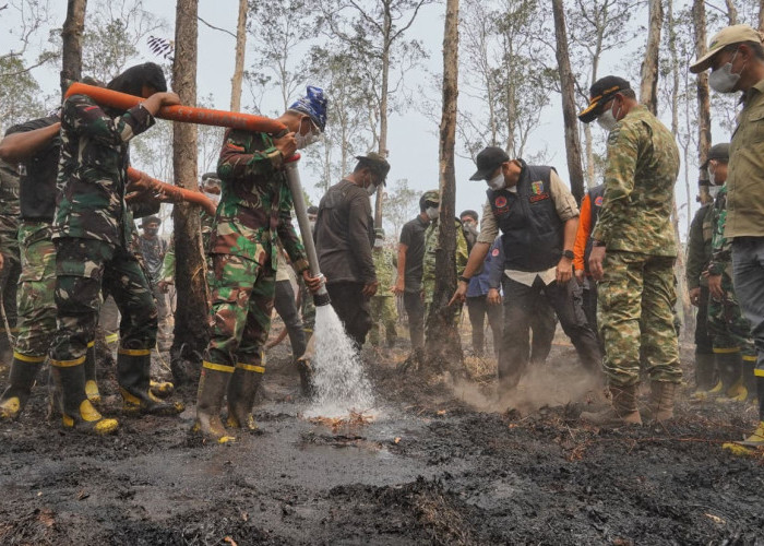 Gubernur Mirza Perkuat Penanganan Karhutla TNWK, Pemadaman Dikebut dan Kesehatan Warga Jadi Perhatian