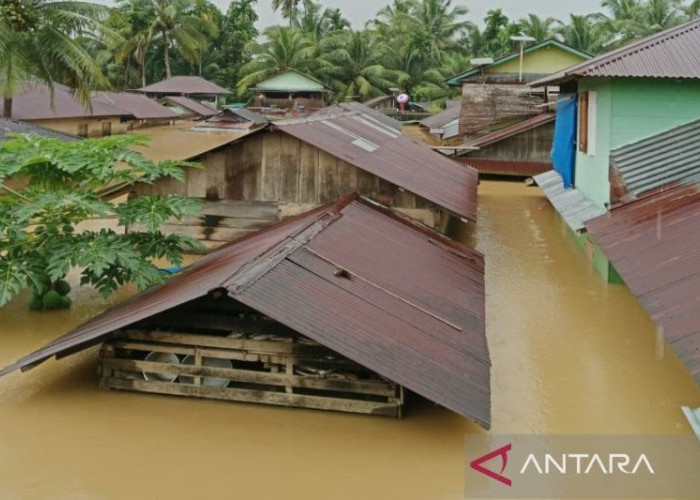 Banjir dan Longsor Renggut Puluhan Nyawa di Sumatera Utara, BNPB Tetapkan Situasi Darurat