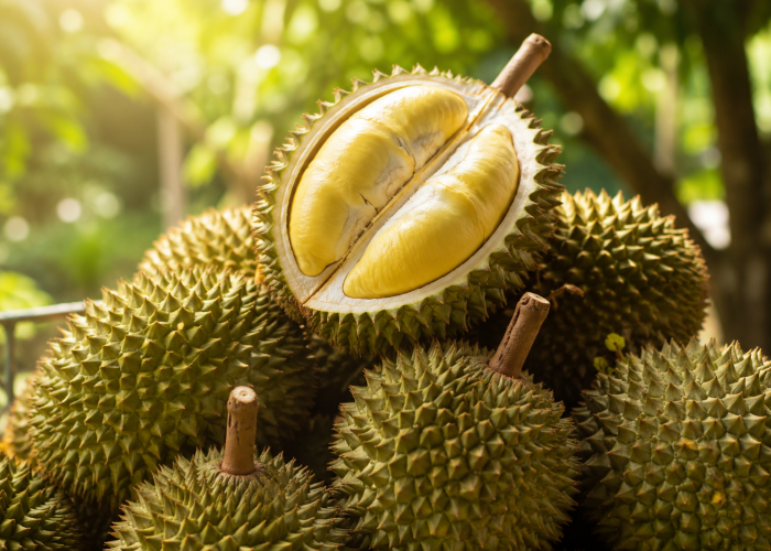 Bukan Sekadar Buah Terlarang, Sains Ungkap Kandungan Durian yang Berpotensi Bermanfaat bagi Tubuh