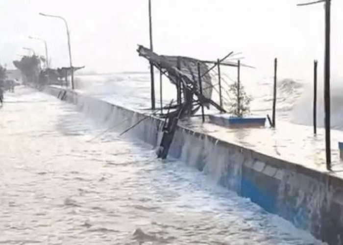 Rob Genangi Marina Ancol, Akses Kendaraan Sempat Dialihkan
